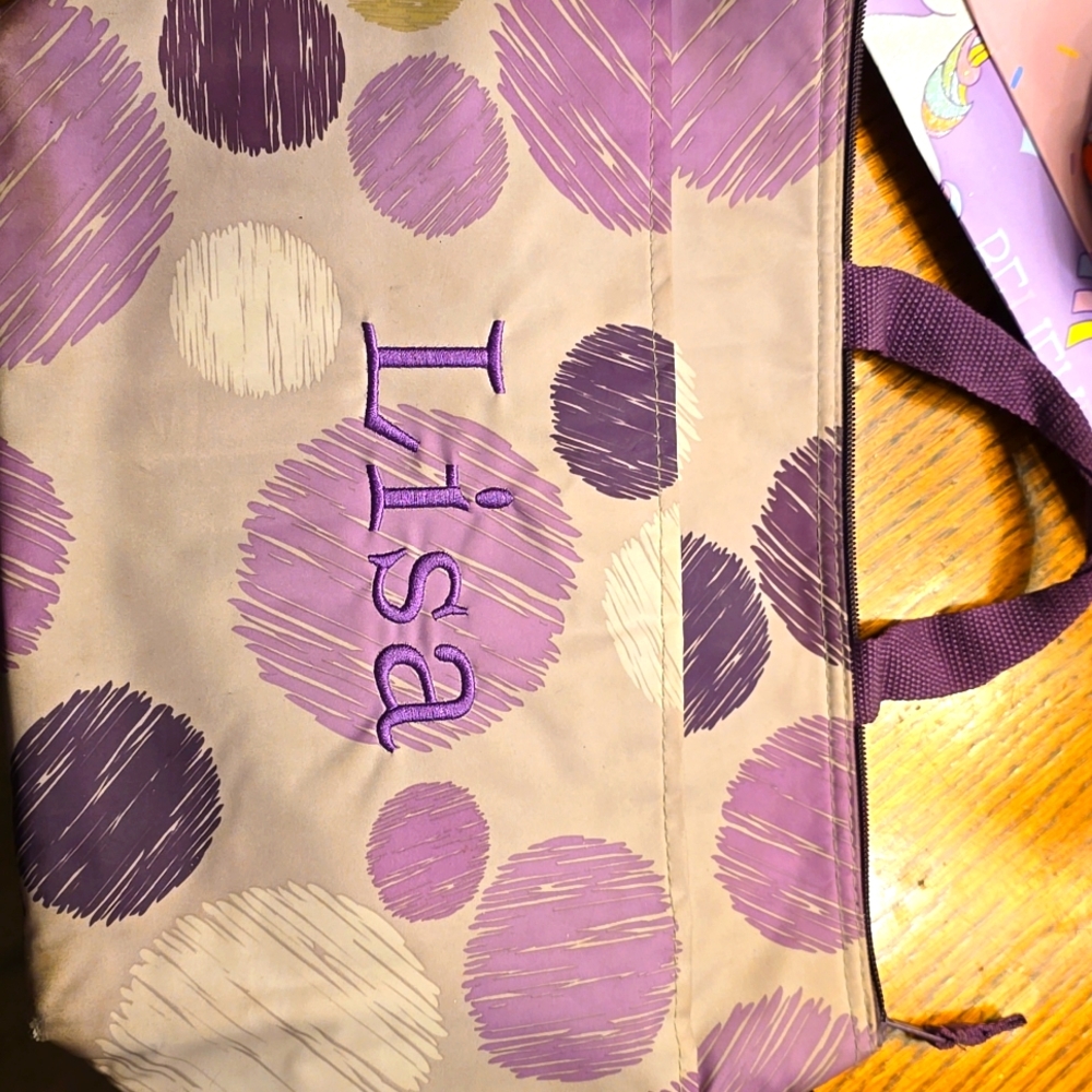 Thirty One insulated bag in decent shape insulated inside and barely used.